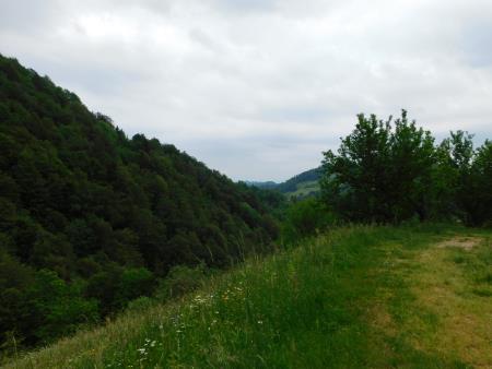 Sirarstvo Secnik (3)